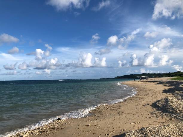istock Waking on the beach in a good day. 1258768598