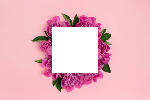 istock Square paper card mockup on a pink pastel background. 1258831087