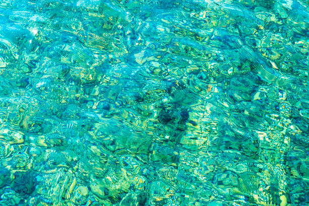 istock Beautiful turquoise clear water background. 1258840525