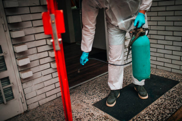istock Cleaning and Disinfection outside around buildings 1258841045