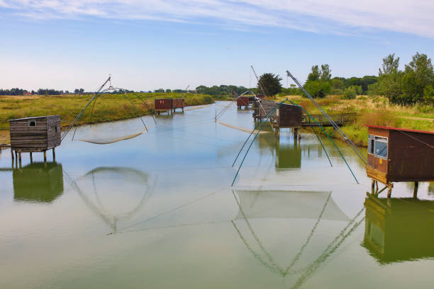 noirmoutier island - vendee stock-fotos und bilder