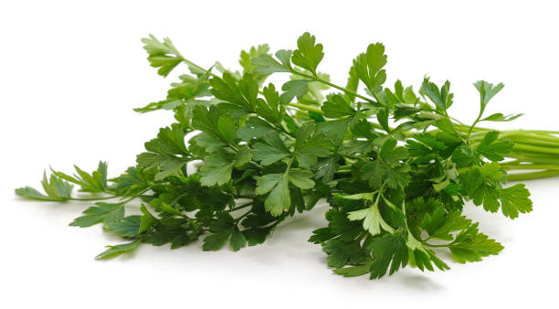 istock Bunch of green parsley. 1258856683