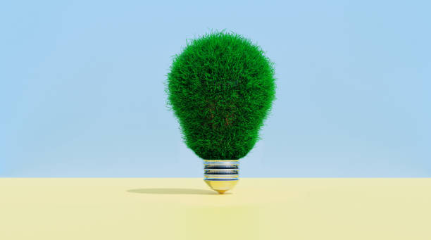 light bulb covered in grass shows concept of thinking green - creative sustainability imagens e fotografias de stock