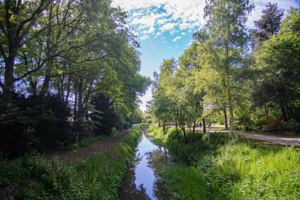 istock Beautiful small brook surrounded by green at Bremen Rhododendron Park 1258859892