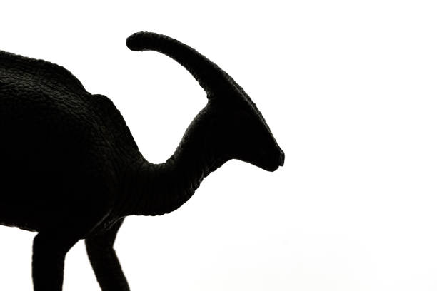 Dinosaur-Parasaurolophus silhouette