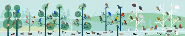 Vector illustration of birds forest vector illustration, horizonal landscape