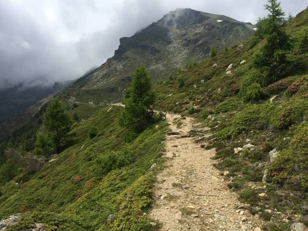 istock Hiking trail in Southtyrol 1258873083