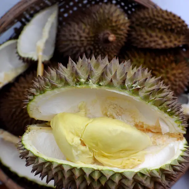 Top view Durian fruit in basket with yellow pulp, a kind of popular tropical fruits from agriculture product at Vietnam, smelly and tasty