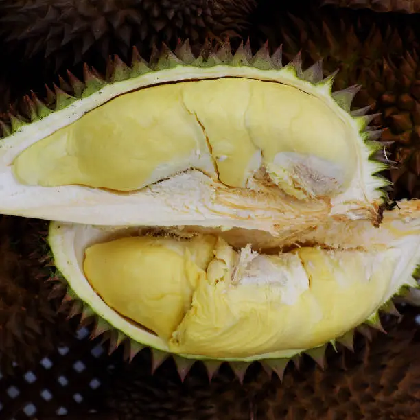 Top view Durian fruit in basket with yellow pulp, a kind of popular tropical fruits from agriculture product at Vietnam, smelly and tasty