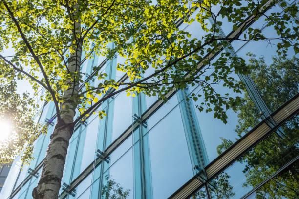 istock View to the top through trees on modern office building in Berlin Mitte 1258908534
