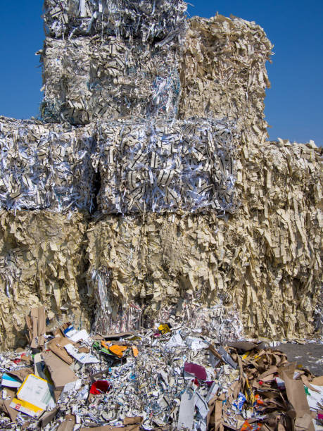 istock Stack of waste paper in recycling plant 1258914459
