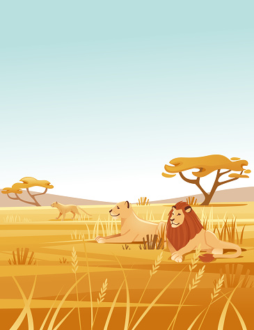 Landscape savanna background with clear sky yellow grass and tree lion family lying on ground flat vector illustration cartoon style vertical design