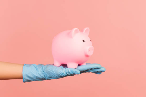 perfil de primer plano de la vista lateral de la mano humana en guantes quirúrgicos azules que sostienen caja de dinero de cerdo. ahorro, cocepto financiero o bancario. - piggy bank savings pig currency fotografías e imágenes de stock