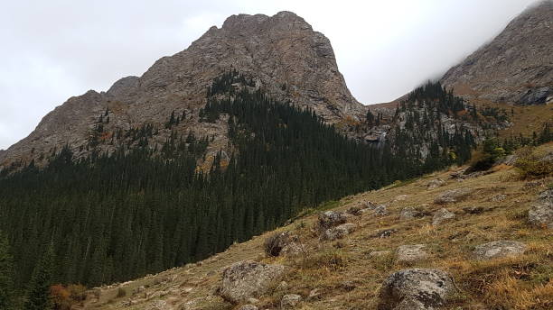 istock Wild Mountain in Kyrgyzstan, Central Asia 1258963649