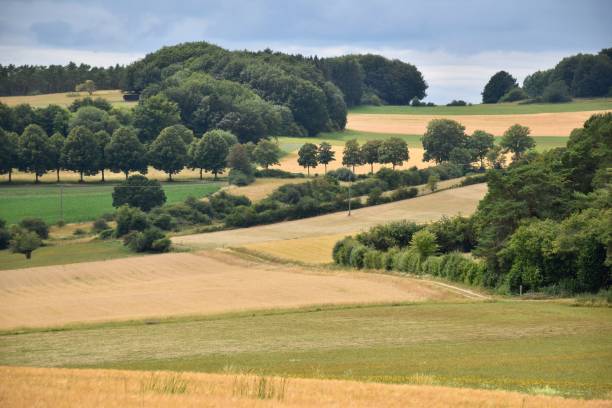 istock Colorful landscape with fields and meadows in Eifel mountains, Germany 1258964778