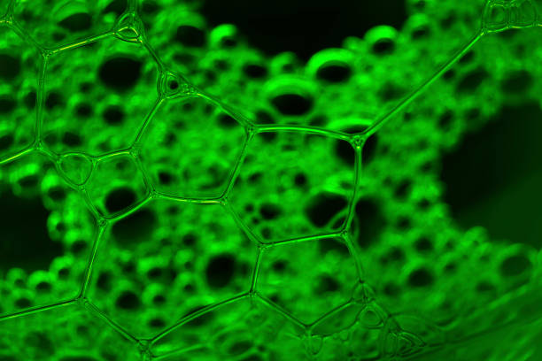istock Soap bubbles on a rich green neon background. 1258966973