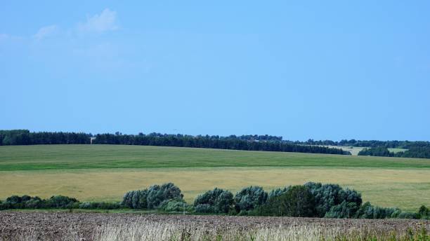 istock Panoramic view on summer meadow by blue sky 1258968866