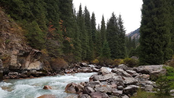 istock Magical Nature of Kyrgyzstan, Central Asis 1258976568