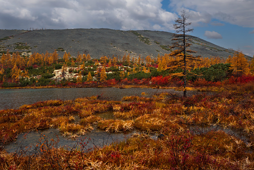 Russia. Far East. The colours of autumn are cold-water lakes of Magadan.