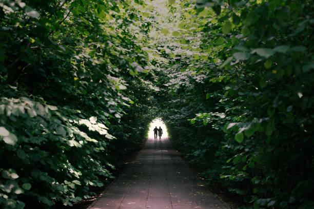 old couple gaht through green tunnels a way into the light Light at the end of the tunnel, footpath leads through densely overgrown green avenue in Berlin. light at the end of the tunnel stock pictures, royalty-free photos & images