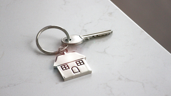 A keyring with a house key.