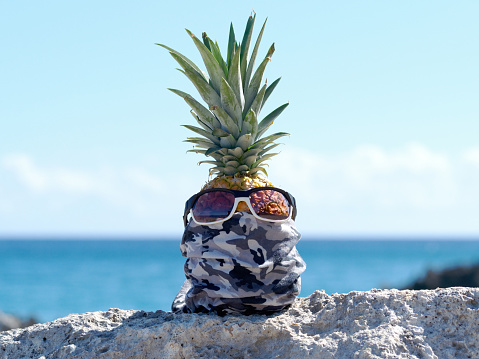 Pineapple wears camouflage bandana on the rock, blue ocean background. Concept crisis from coronavirus (COVID-19) for tourism.