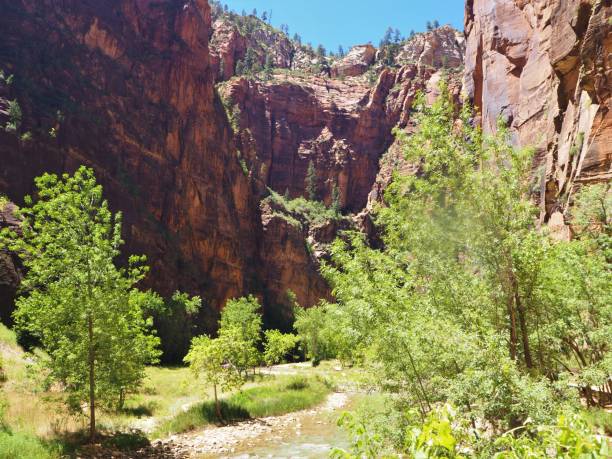 istock Zion Narrows, Utah, USA 1259016035