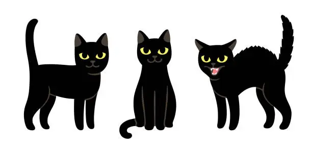 Vector illustration of Cartoon black cat set