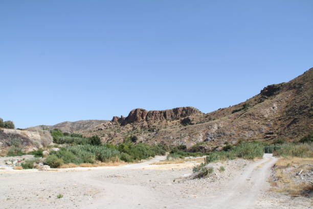 istock Almanzora River in Cantoria 1259034860
