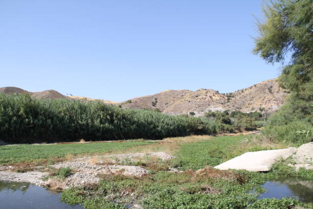 istock Almanzora River in Cantoria 1259034926