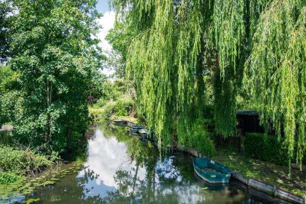 istock Canals of Amiens 1259036593