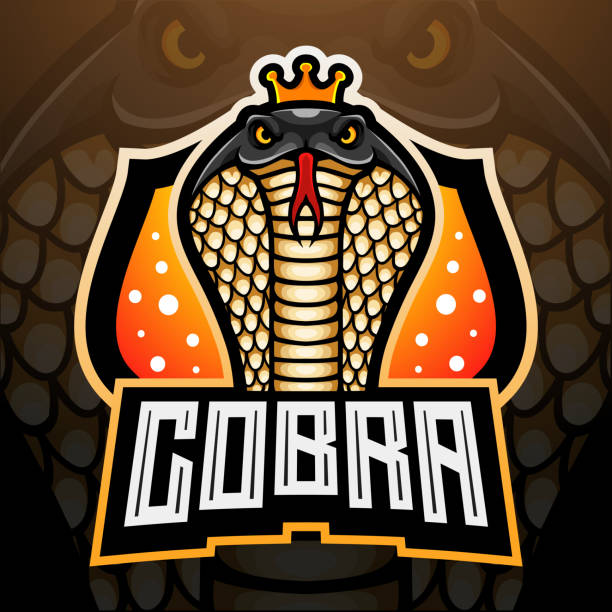 King cobra esport mascot design King cobra esport mascot design Boa stock illustrations