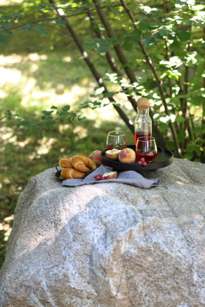 istock food picnic 1259041698