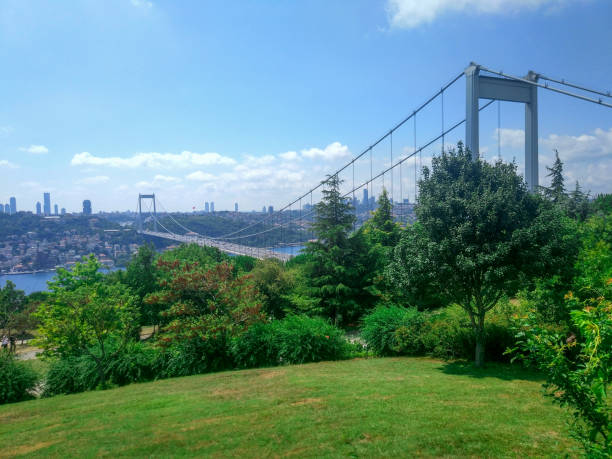 istock Otagtepe Park (Fatih Grove) in Istanbul 1259043177