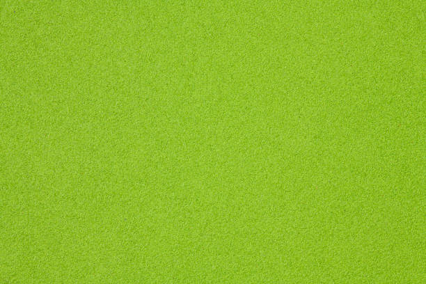 istock Background texture of standing water from the lemna 1259043198