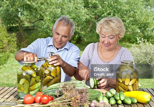 Selagem Em Jarros - Fotografias de stock e mais imagens de Adulto - Adulto, Adulto maduro, Agricultura