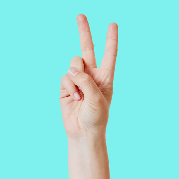 istock Hand gesturing with a V for Victory or peace sign 1259055499