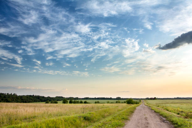 istock A rural road passes through green fields and meadows. Blue sky with bright white clouds. 1259059329
