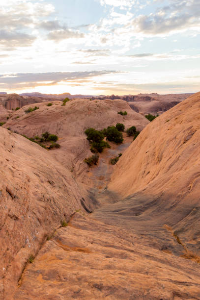 ユタ州モアブ近郊の地獄の復讐地域でオフロード車のための地獄のゲートロッククライム - usa dirt road rock sandstone ストックフォトと画像