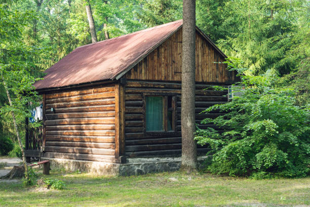 istock Old wooden house in a pine forest 1259072051