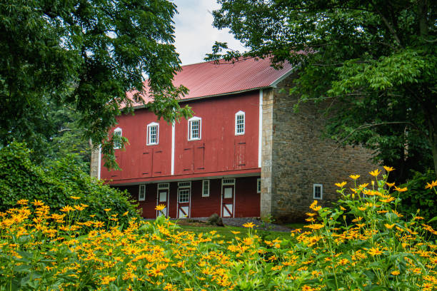 istock Classic red barn in summertime surrounded by flowers and trees 1259072530