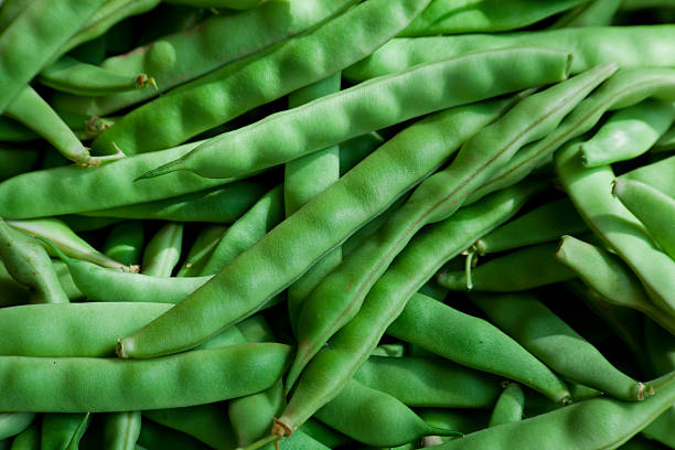 Green Beans Background stock photo