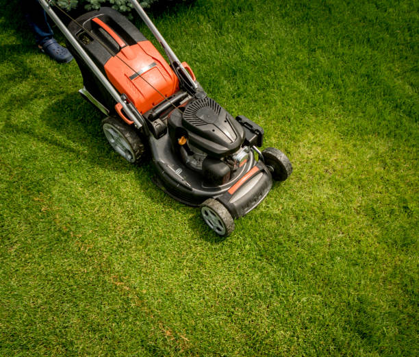 istock Lawn mower on green grass. Summer garden 1259094901
