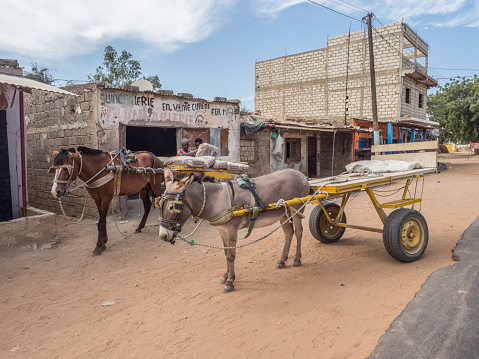 Nianing, Senegal - January 24, 2019: Horse cart and donkey cart on  the senegalese, local road. It is  a popular transportation way in Africa