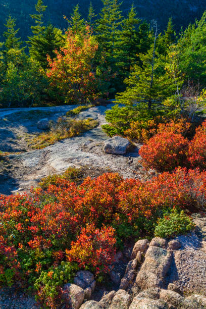 istock South Bubble Trail, Acadia National Park 1259110470