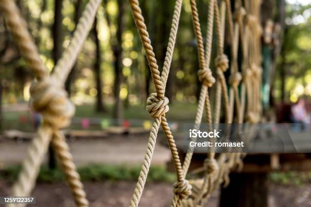 Detail Of Rope Park In A Forest Adventure Summer Park Stock Photo - Download Image Now
