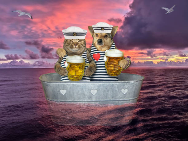 istock Cat with dog drinks beer in washtub 1259126148