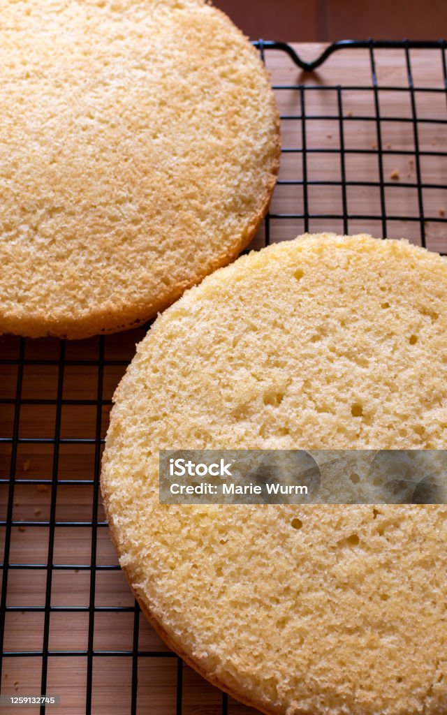 Sponge Cake Rack Layer Cake Sponges On Cooling Rack Stock Photo - Download Image Now ...