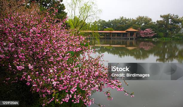 Photo libre de droit de Lac De Louest La Région De Hangzhou Chine banque d'images et plus d'images libres de droit de Hangzhou - Hangzhou, West Lake - Hangzhou, Arbre en fleurs