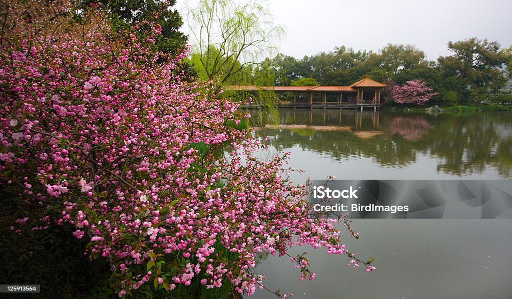 Lago Oeste, em Hangzhou, China - Foto de stock de Hangzhou royalty-free